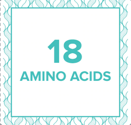 AMINO ACIDS: THE BUILDING BLOCKS OF OUR BODIES