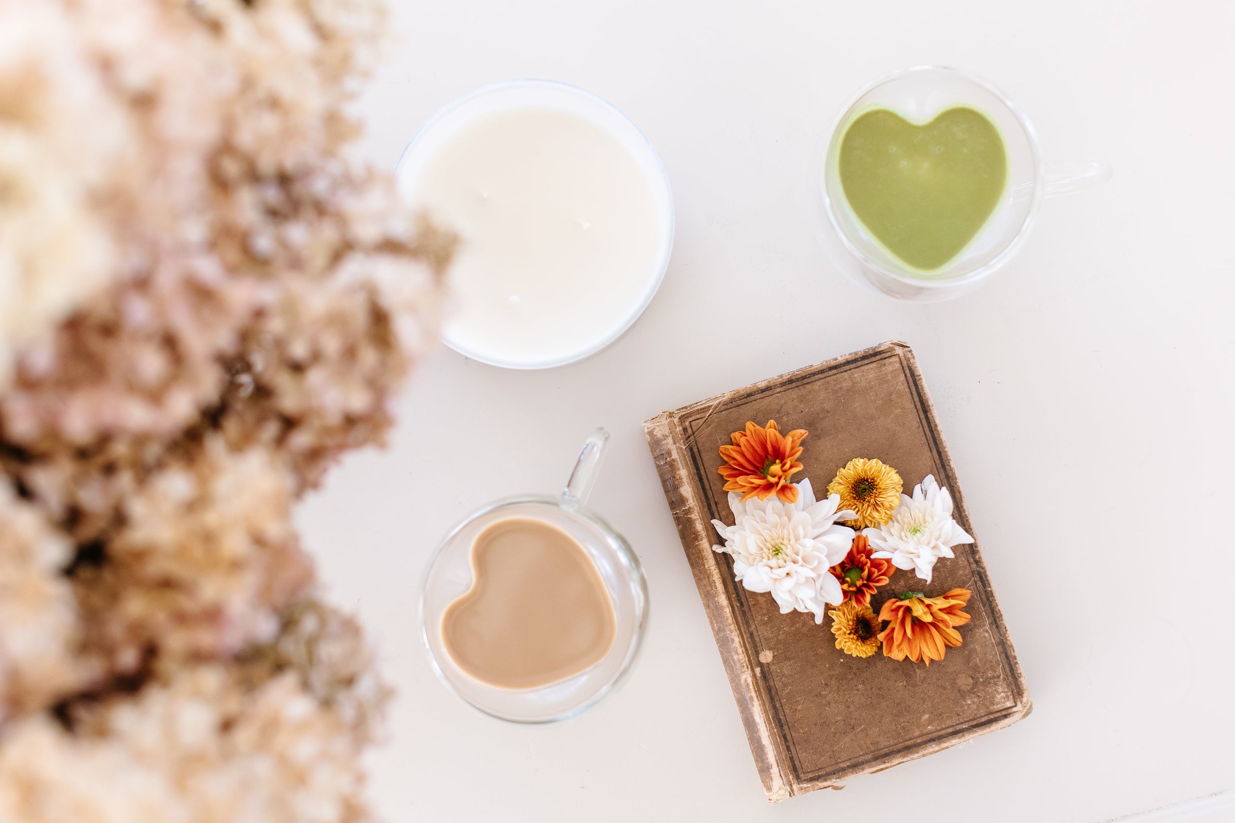 Functional Wellness Lattes