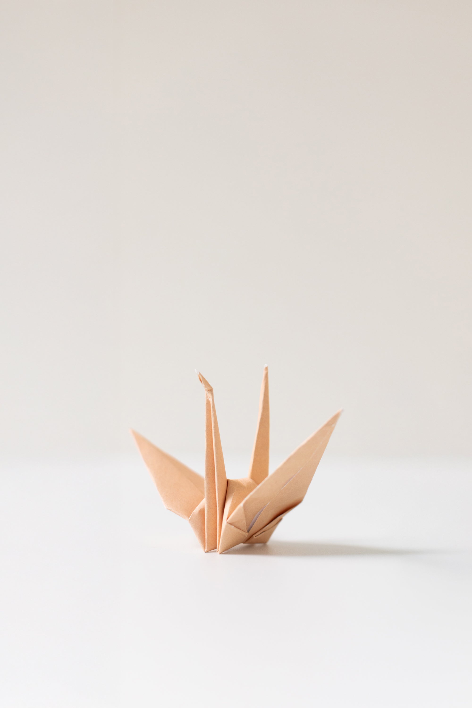 Hand-folded Origami Crane